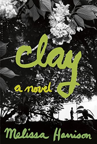 Beispielbild fr Clay : A Novel zum Verkauf von Better World Books