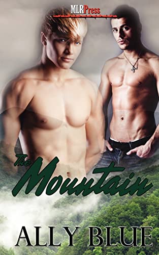 The Mountain (9781608207657) by Blue, Ally