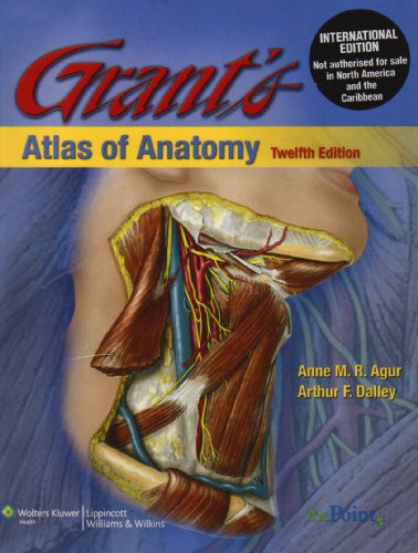 Stock image for Grants Atlas of Anatomy (Int Ed) for sale by Better World Books Ltd