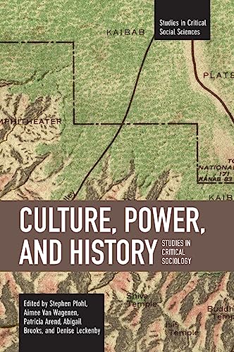 Stock image for Culture, Power, and History: Studies in Critical Sociology (Studies in Critical Social Sciences) for sale by Chiron Media