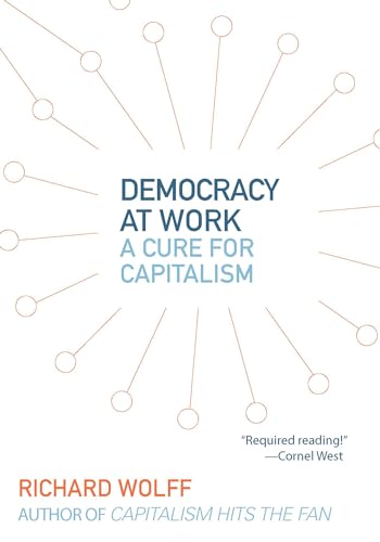 Imagen de archivo de Democracy at Work: A Cure for Capitalism a la venta por KuleliBooks