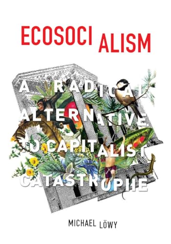 Stock image for Ecosocialism: A Radical Alternative to Capitalist Catastrophe for sale by HPB-Diamond