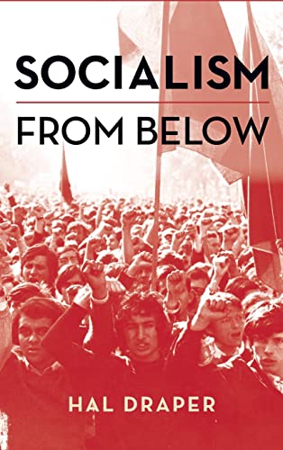 Imagen de archivo de Socialism From Below a la venta por AwesomeBooks