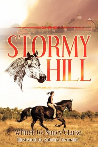 9781608600434: Stormy Hill