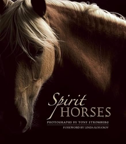 Imagen de archivo de Spirit Horses a la venta por Ergodebooks