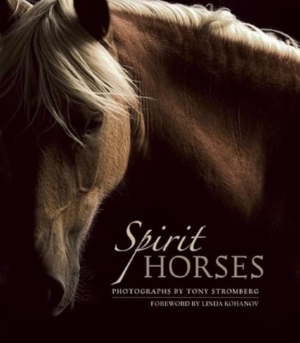 Stock image for Spirit Horses for sale by Ergodebooks