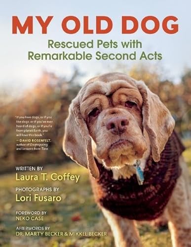 Imagen de archivo de My Old Dog: Rescued Pets with Remarkable Second Acts a la venta por Your Online Bookstore