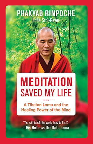 Beispielbild fr Meditation Saved My Life: A Tibetan Lama and the Healing Power of the Mind zum Verkauf von ThriftBooks-Atlanta