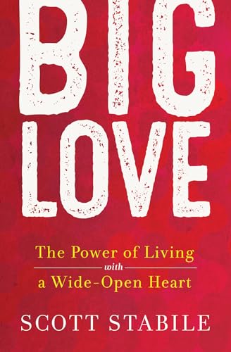 Beispielbild fr Big Love zum Verkauf von Better World Books
