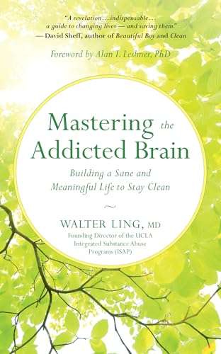 Stock image for Mastering the Addicted Brain: Building a Sane and Meaningful Life to Stay Clean for sale by Ergodebooks