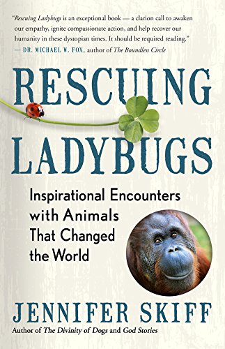 Beispielbild fr Rescuing Ladybugs : Inspirational Moments with Animals That Changed the World zum Verkauf von Better World Books