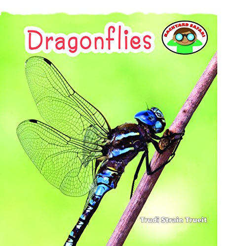 9781608702442: Dragonflies (Backyard Safari)