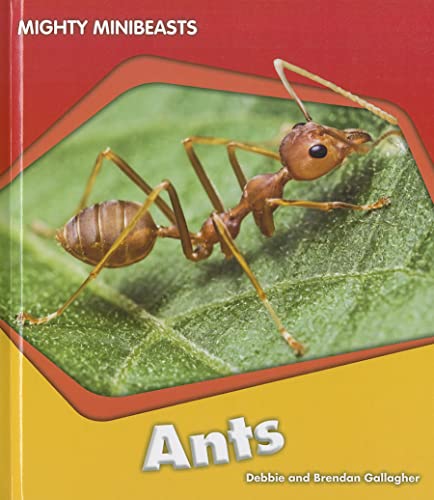 Beispielbild fr Ants zum Verkauf von Better World Books