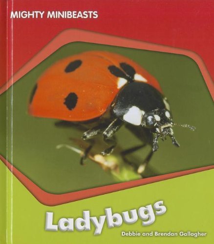 Beispielbild fr Ladybugs zum Verkauf von Better World Books: West