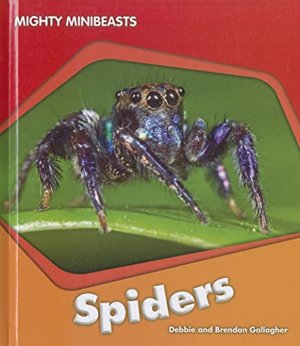 Beispielbild fr Spiders zum Verkauf von Better World Books
