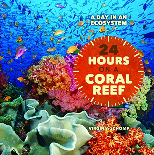 9781608708925: 24 Hours on a Coral Reef (A Day in an Ecosystem)