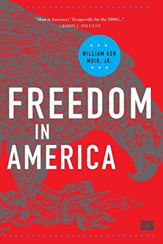 Beispielbild fr Freedom in America zum Verkauf von BooksRun