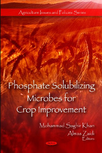 9781608761128: Phosphate Solubilizing Microbes for Crop Improvement