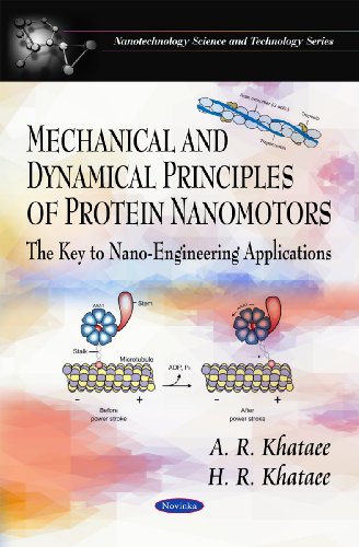 Stock image for Mechanical and Dynamical Principles of Protein Nanomotors: The Key to Nano-Engineering Applications (Nanotechnology Science and Technology) for sale by Phatpocket Limited