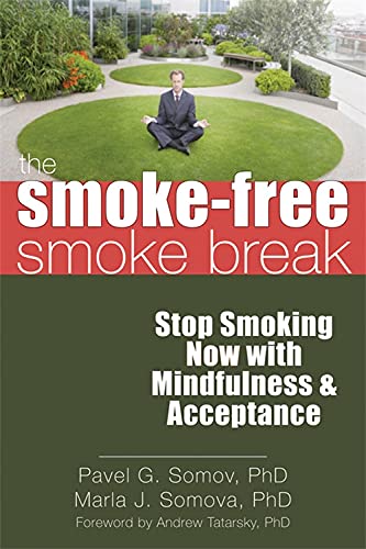 Imagen de archivo de The Smoke-Free Smoke Break : Stop Smoking Now with Mindfulness and Acceptance a la venta por Better World Books