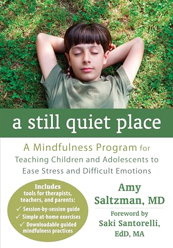 Imagen de archivo de A Still Quiet Place: A Mindfulness Program for Teaching Children and Adolescents to Ease Stress and Difficult Emotions a la venta por BookHolders