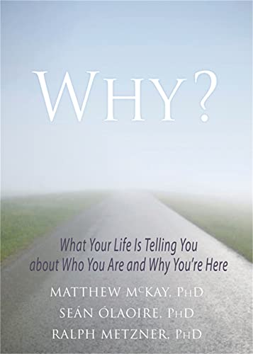 Why?: What Your Life Is Telling You about Who You Are and Why You're Here (9781608827756) by McKay PhD, Matthew; Ã“Laoire PhD, SeÃ¡n; Metzner PhD, Ralph