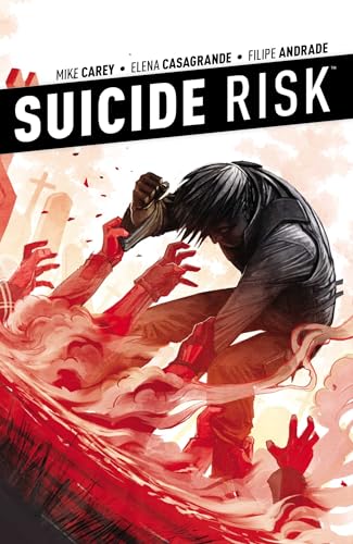 9781608864614: Suicide Risk Vol. 4 (4)