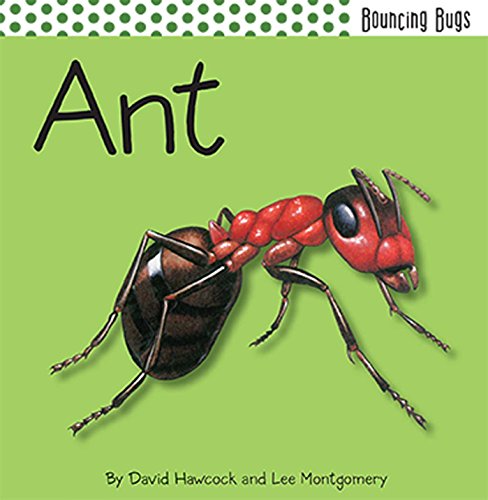 9781608871872: Ant (Bouncing Bugs)