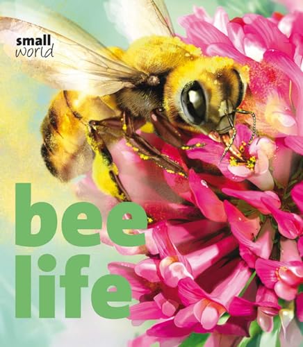 Imagen de archivo de Bee Life (Small World) a la venta por SecondSale