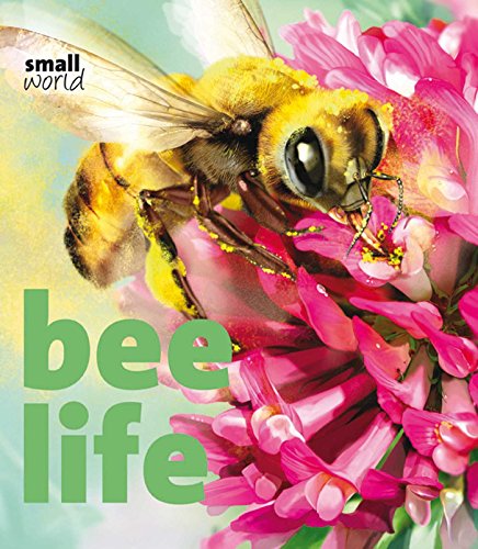 Stock image for Bee Life (Small World) for sale by SecondSale