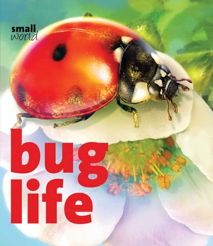 Bug Life (Small World) (9781608871995) by Evans, Lynette