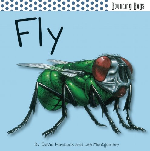 9781608872145: Fly (Bouncing Bugs)