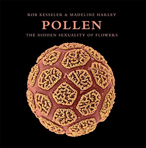 Imagen de archivo de Pollen: The Hidden Sexuality of Flowers a la venta por HPB-Ruby