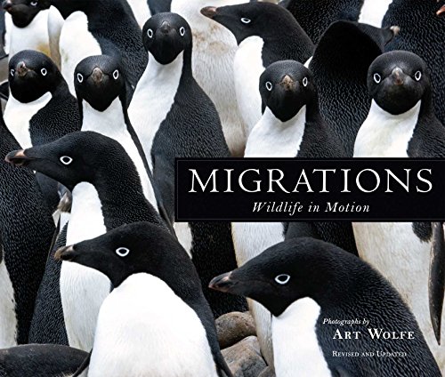 Beispielbild fr Migrations: Wildlife in Motion zum Verkauf von WorldofBooks