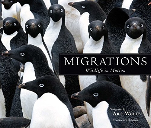 9781608877140: Migrations: Wildlife in Motion