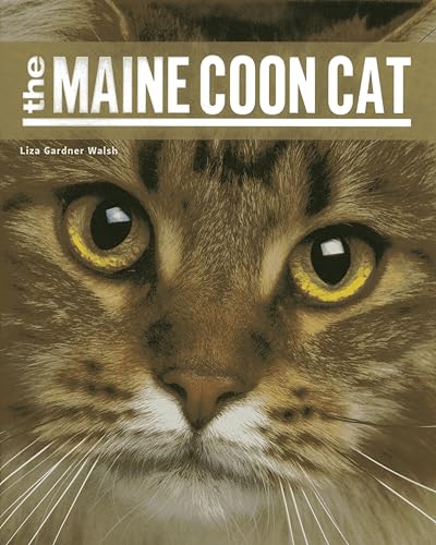 Stock image for The Maine Coon Cat for sale by Upward Bound Books