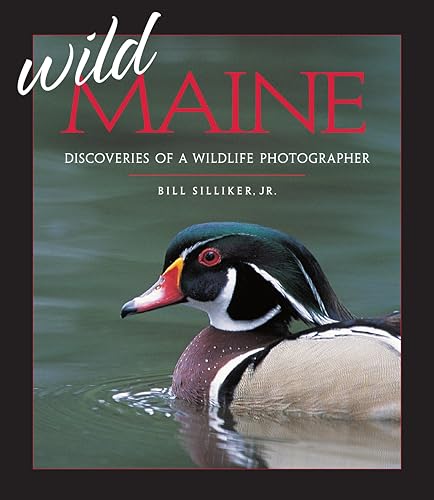 9781608934560: Wild Maine: Discoveries of a Wildlife Photographer