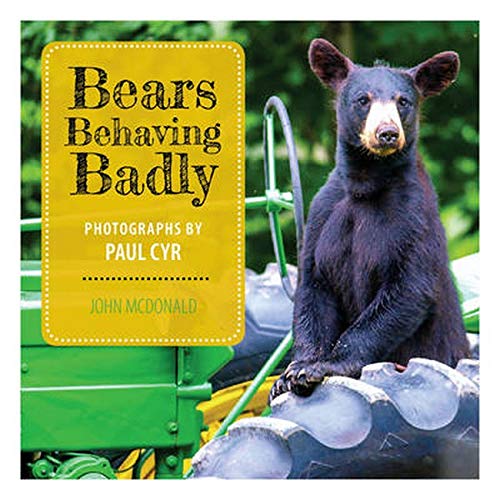 9781608936038: Bears Behaving Badly