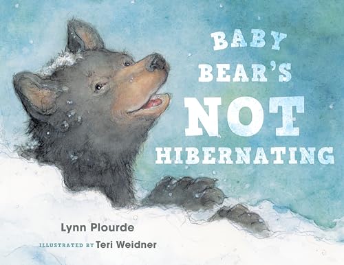 Beispielbild fr Baby Bear's Not Hibernating zum Verkauf von SecondSale