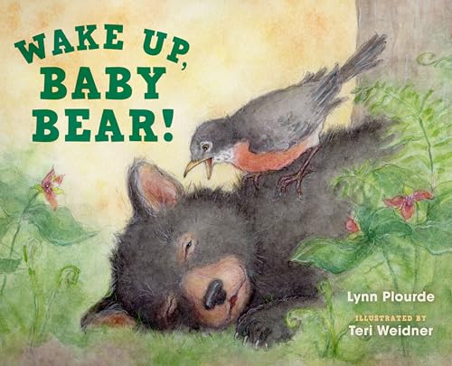 Beispielbild fr Wake Up, Baby Bear! zum Verkauf von ZBK Books