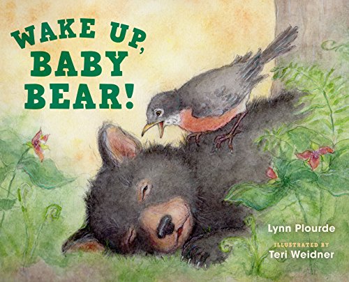 9781608939718: Wake Up, Baby Bear!