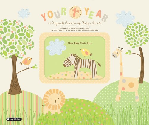 9781608971459: Your First Year Planner