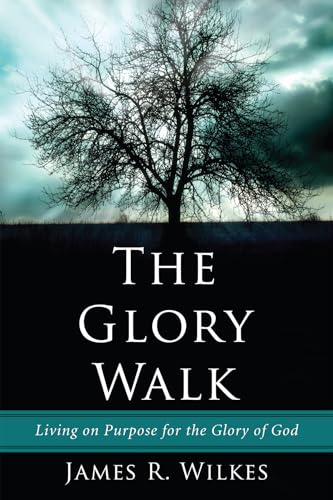 Beispielbild fr The Glory Walk: Living on Purpose for the Glory of God zum Verkauf von Chiron Media