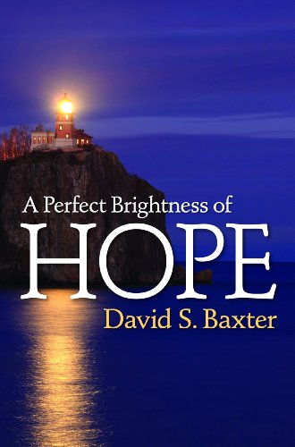 Imagen de archivo de A Perfect Brightness of Hope a la venta por Jenson Books Inc