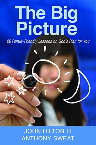 Imagen de archivo de The Big Picture: 20 Family-Friendly Lessons on God's Plan for You a la venta por Reliant Bookstore