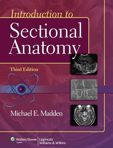 Beispielbild fr Introduction to Sectional Anatomy (Point (Lippincott Williams & Wilkins)) zum Verkauf von BooksRun