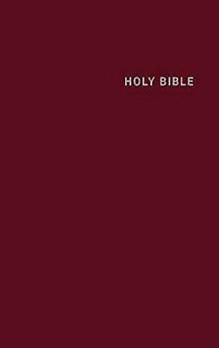 9781609260330: CEB Deep Blue Kids Bible Imitation Leather Burgundy