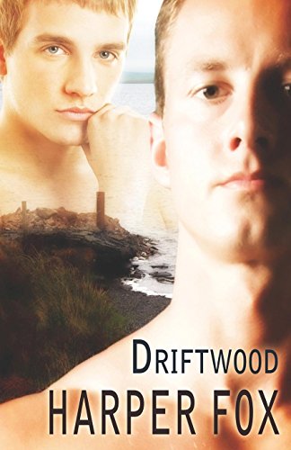 Imagen de archivo de Driftwood a la venta por Novel Ideas Books & Gifts