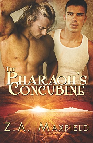 Stock image for Pharaoh's Concubine for sale by ThriftBooks-Dallas