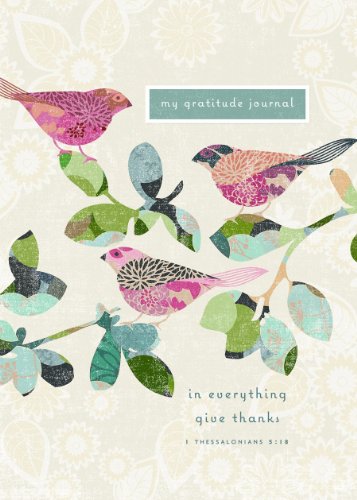 9781609365479: My Gratitude Journal-Value Journal